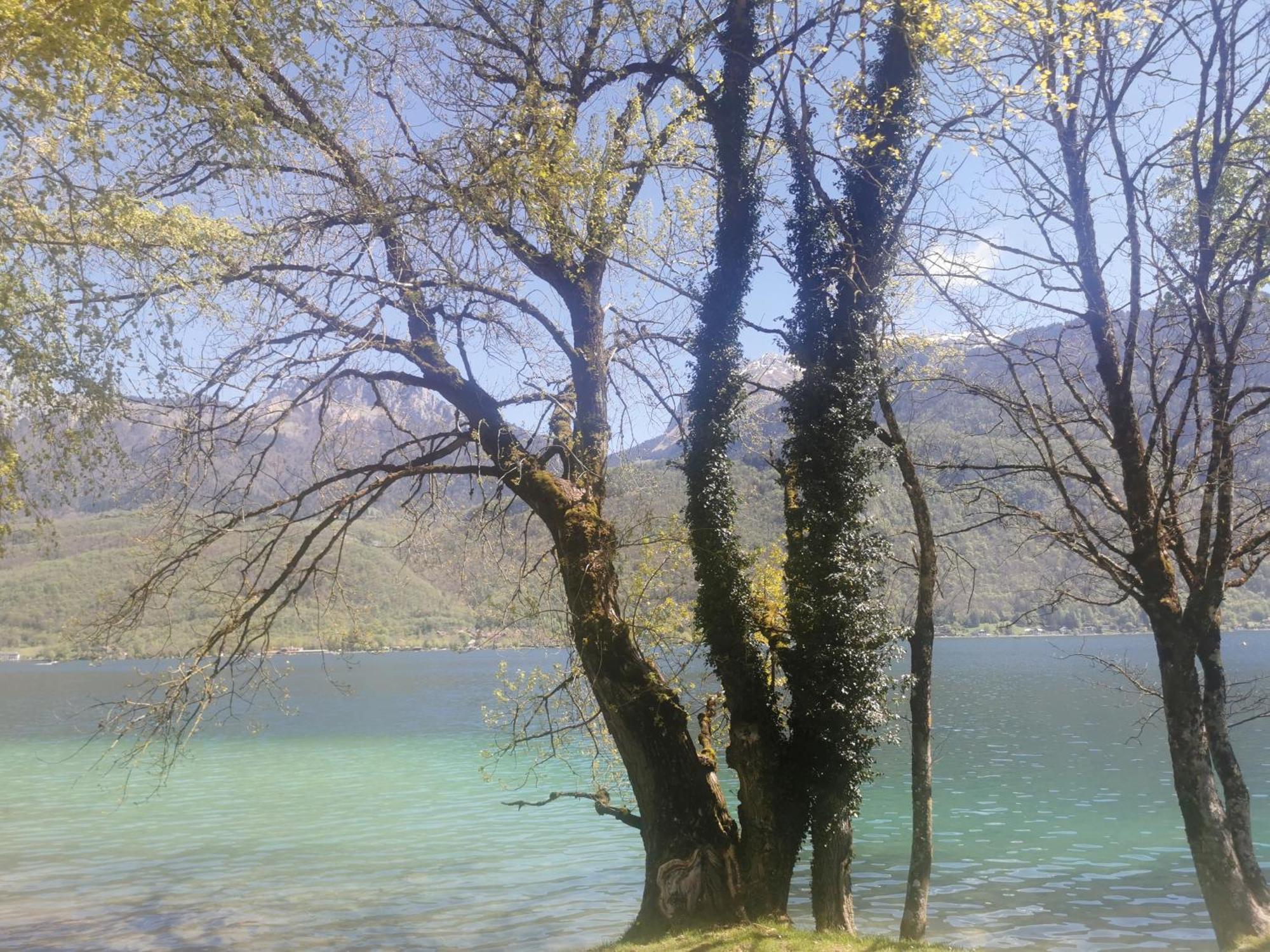 Charmant Appartement A 1 Minute Du Lac Annecy Bagian luar foto